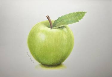 Print of Photorealism Botanic Drawings by Julia Rudens