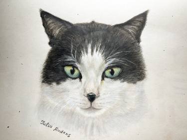 Original Photorealism Cats Drawings by Julia Rudens