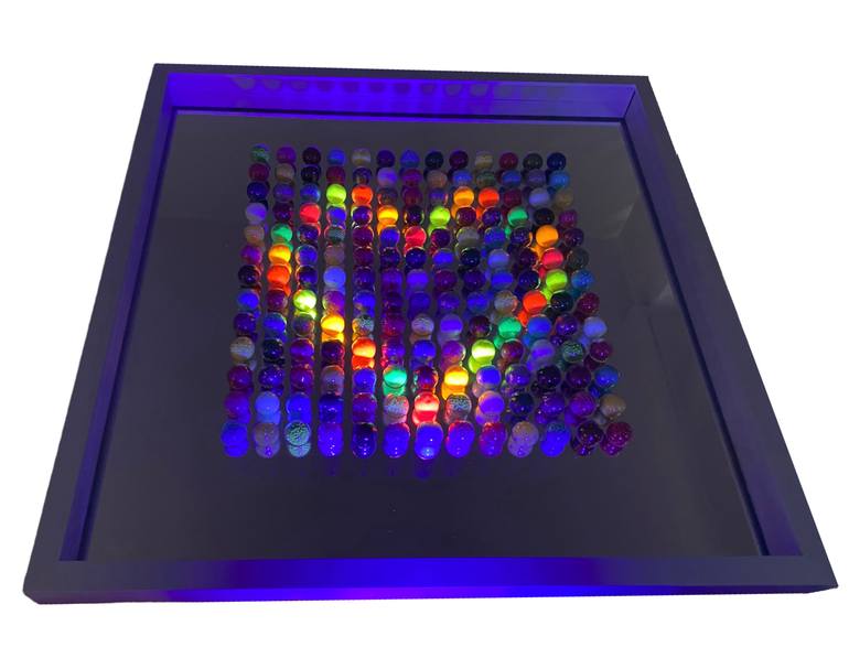 Original Contemporary Abstract Sculpture by Nicola Huppmann