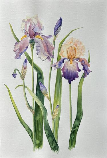 Original Realism Floral Paintings by Nataliya Kovalchuk