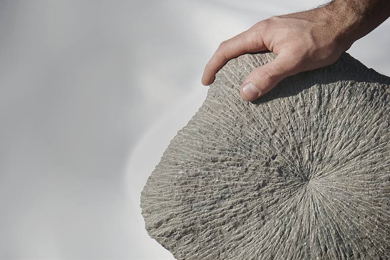 Original Abstract Animal Sculpture by Manvel Matevosyan