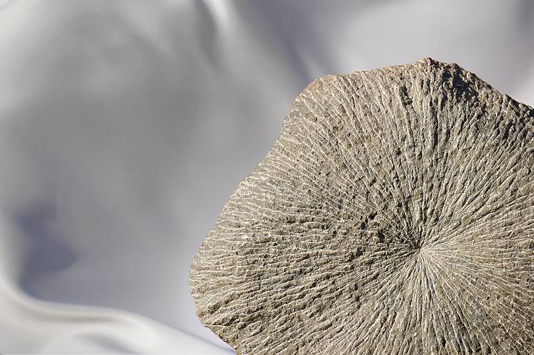 Original Abstract Animal Sculpture by Manvel Matevosyan