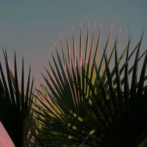 Collection Art to Bring the Outdoors, In