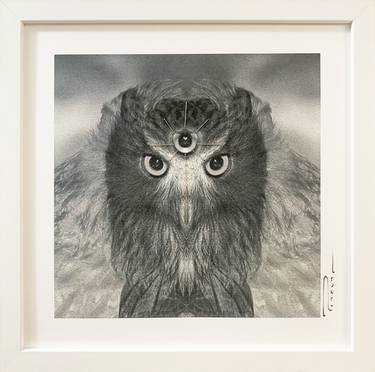 Sentient - Blakiston's fish owl thumb