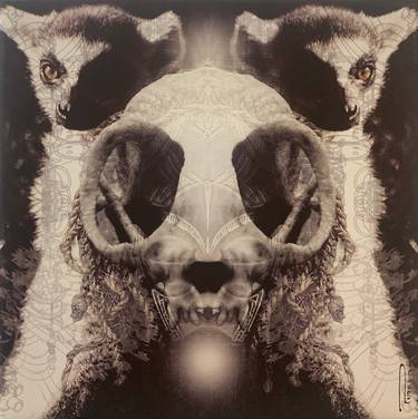 Original Conceptual Animal Printmaking by Sentient Animalia