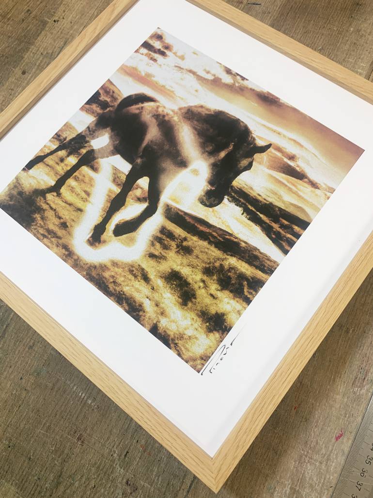 Original Classicism Horse Printmaking by Sentient Animalia