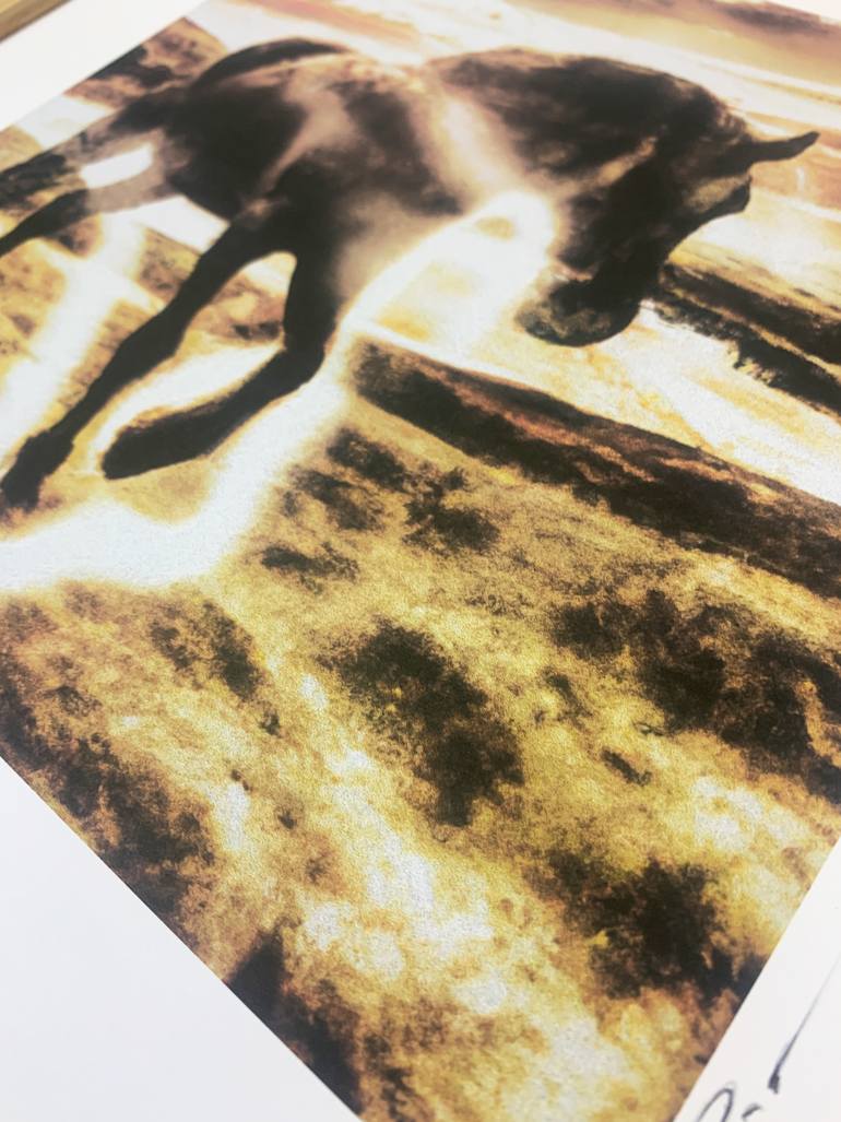 Original Classicism Horse Printmaking by Sentient Animalia