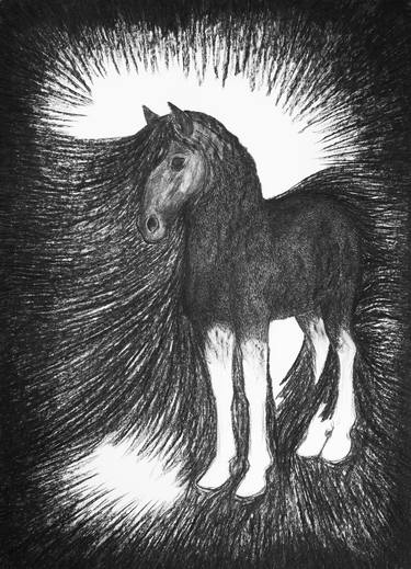 'Zwart paard' / 'Black Horse' thumb