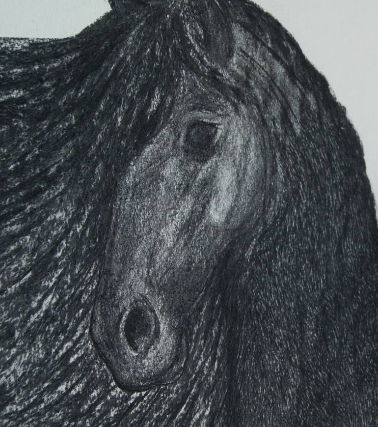 Original Figurative Horse Drawing by Sarah Linde