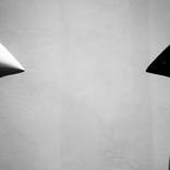 white bird, black bird II by angelo dorigo