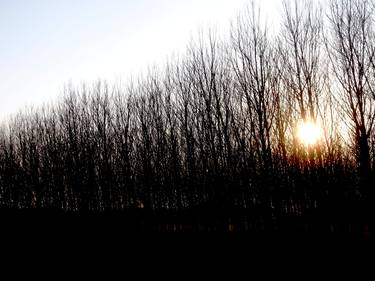 Print of Minimalism Landscape Photography by angelo dorigo