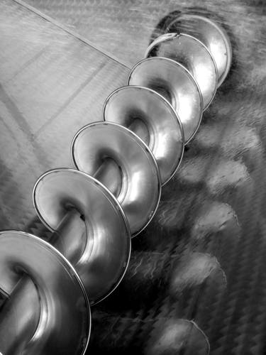 Original Photorealism Rural life Photography by Angelo Dorigo