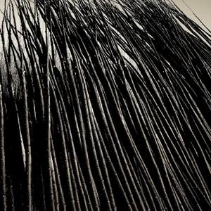 Collection Fall Forward