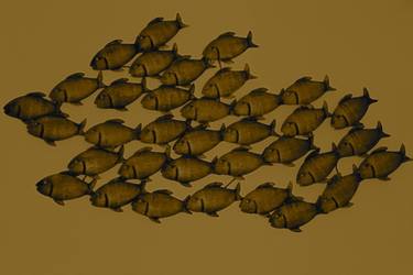 Original Conceptual Fish Photography by Angelo Dorigo