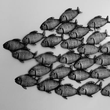 Original Fish Photography by angelo dorigo