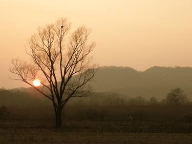 Original Landscape Photography by angelo dorigo