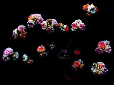 Original Abstract Expressionism Floral Photography by angelo dorigo