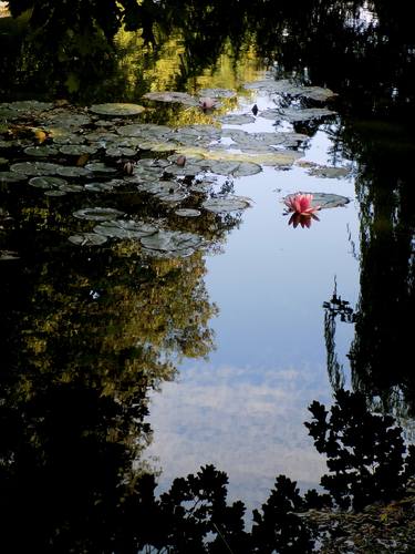 Original Conceptual Landscape Photography by angelo dorigo