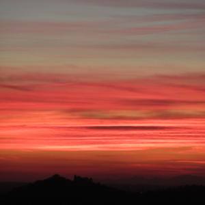 Collection Photography for $500 & Under