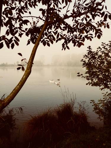 Original Conceptual Landscape Photography by Angelo Dorigo