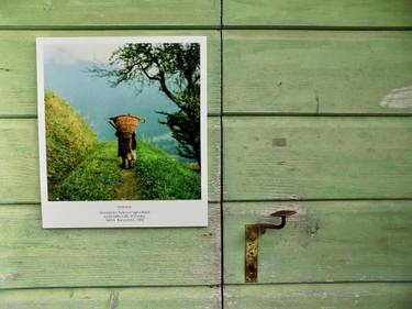 Original Documentary Rural life Photography by Angelo Dorigo