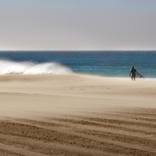 Collection Malibu Beach Life
