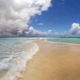 Collection Fijian Dreams