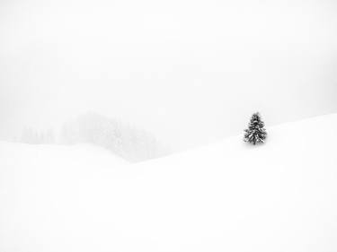 Original Documentary Landscape Photography by Vasilii Riabovol