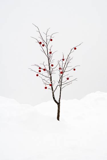 Сhristmas tree II. Dolomites. Art photography, minimalism. thumb