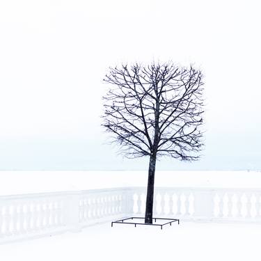 Peterhof. Winter graphics. Minimalism. Art photography. thumb