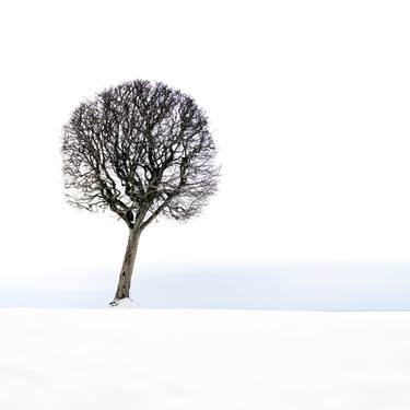 Peterhof 2. Winter graphics. Minimalism. Art photography. thumb