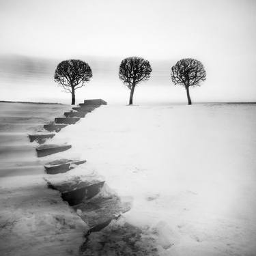 Peterhof 3. Wind. Winter graphics. Minimalism. Art photography. thumb