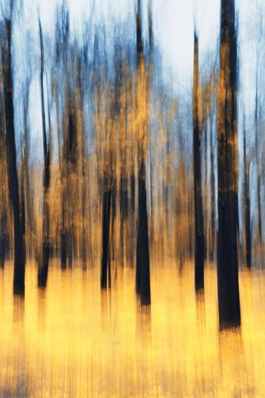 Print of Abstract Photography by Vasilii Riabovol