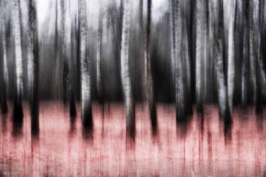 Print of Abstract Landscape Photography by Vasilii Riabovol