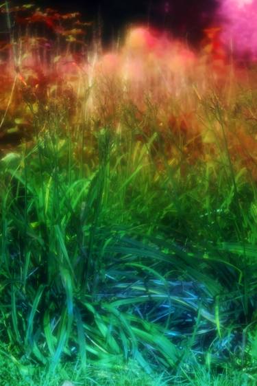 Original Conceptual Botanic Photography by Vasilii Riabovol