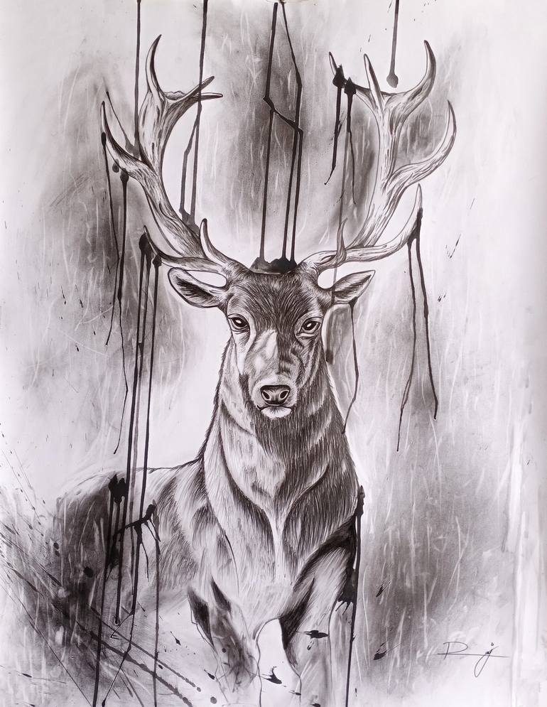 Deer Pencil Drawing Print, Deer Art Print, Majestic Deer, White Tail Deer,  Big Buck, Deer Illustration, Deer Wall Art, Gift for Deer Hunter