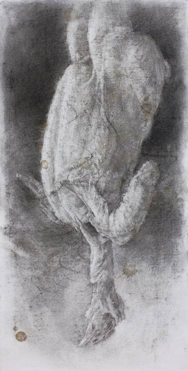 Print of Figurative Still Life Drawings by Carlos Asensio