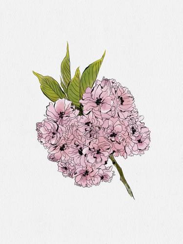 Original Illustration Floral Digital by Victoria Hale