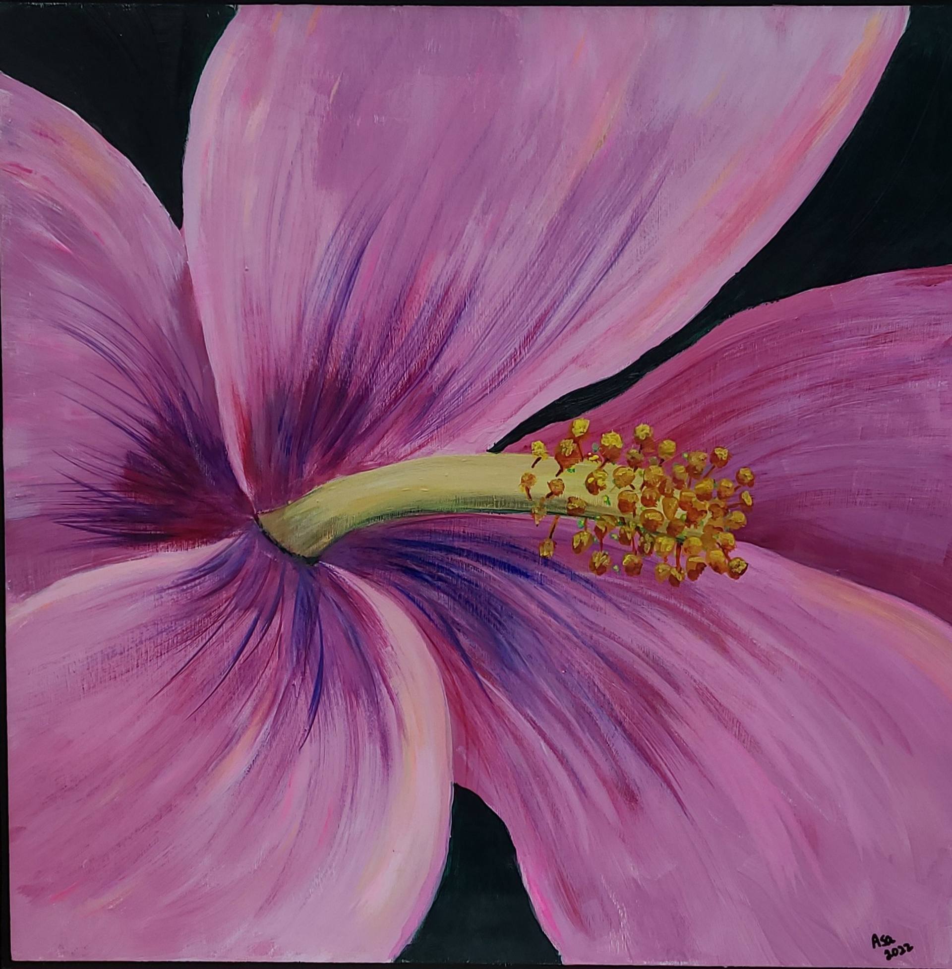 hibiscus acrylic paintings