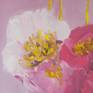 White and pink flowers