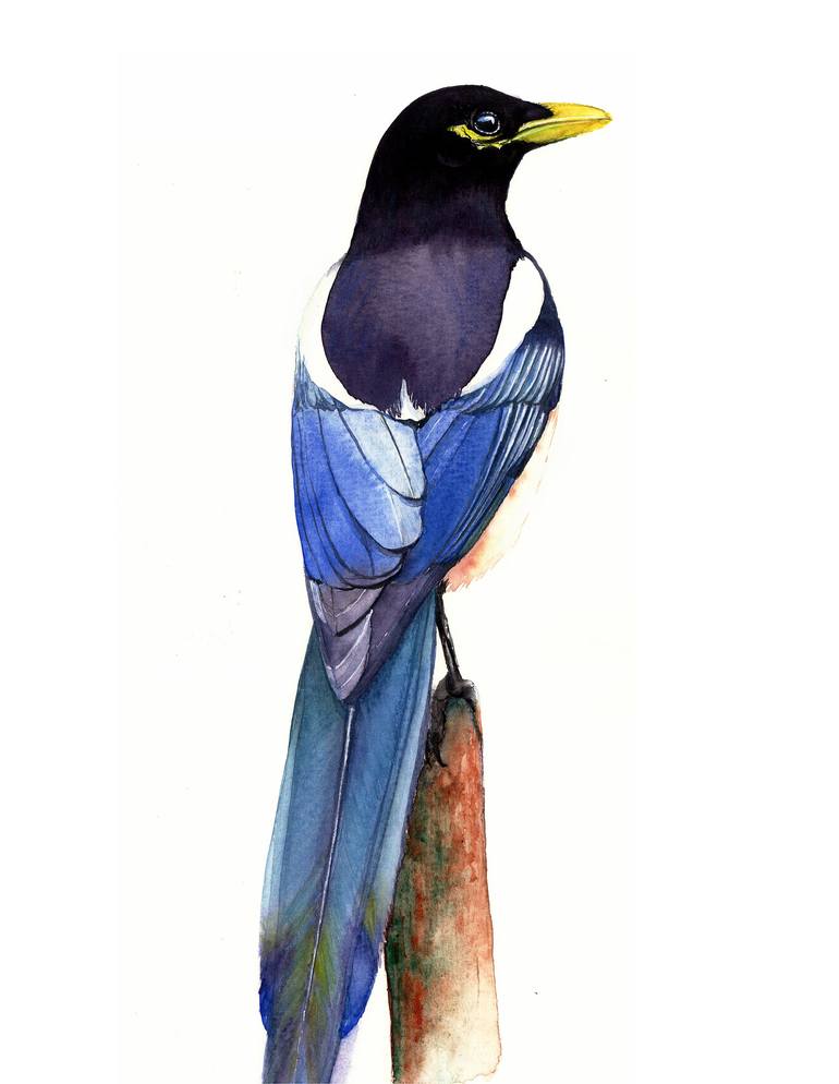 Print of Photorealism Animal Paintings by Tetiana Savchenko