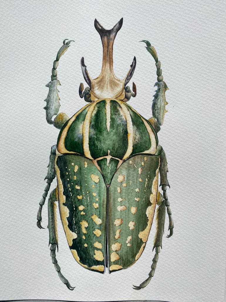 Original Other Animal Painting by Tetiana Savchenko