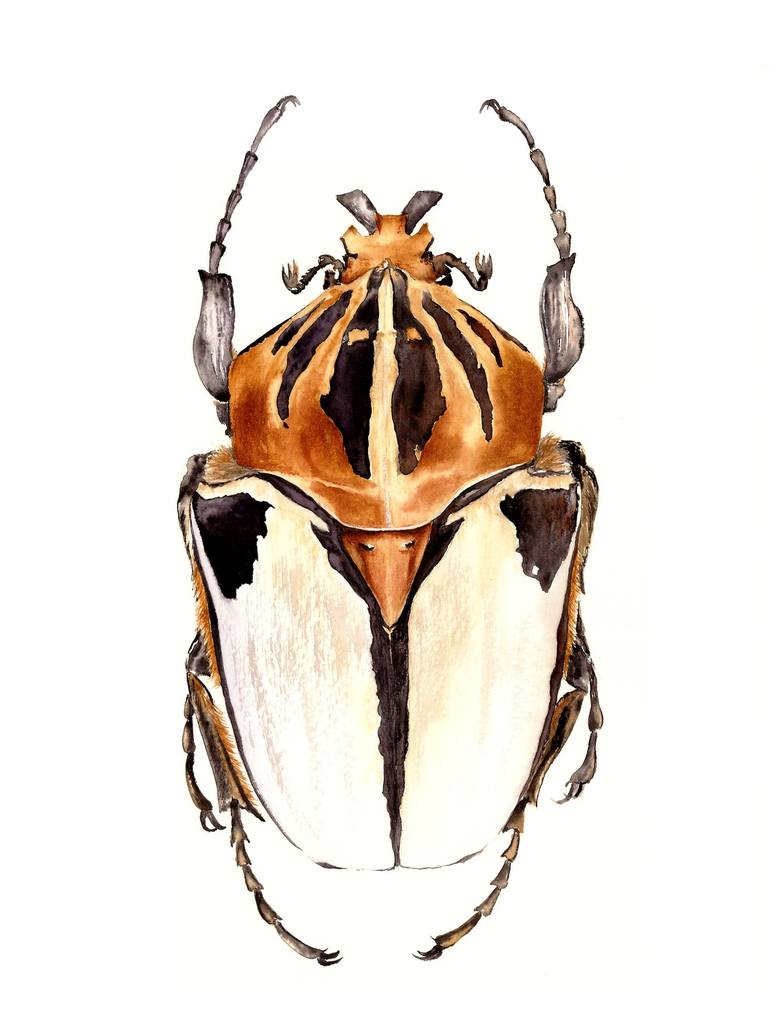 Print of Photorealism Animal Paintings by Tetiana Savchenko
