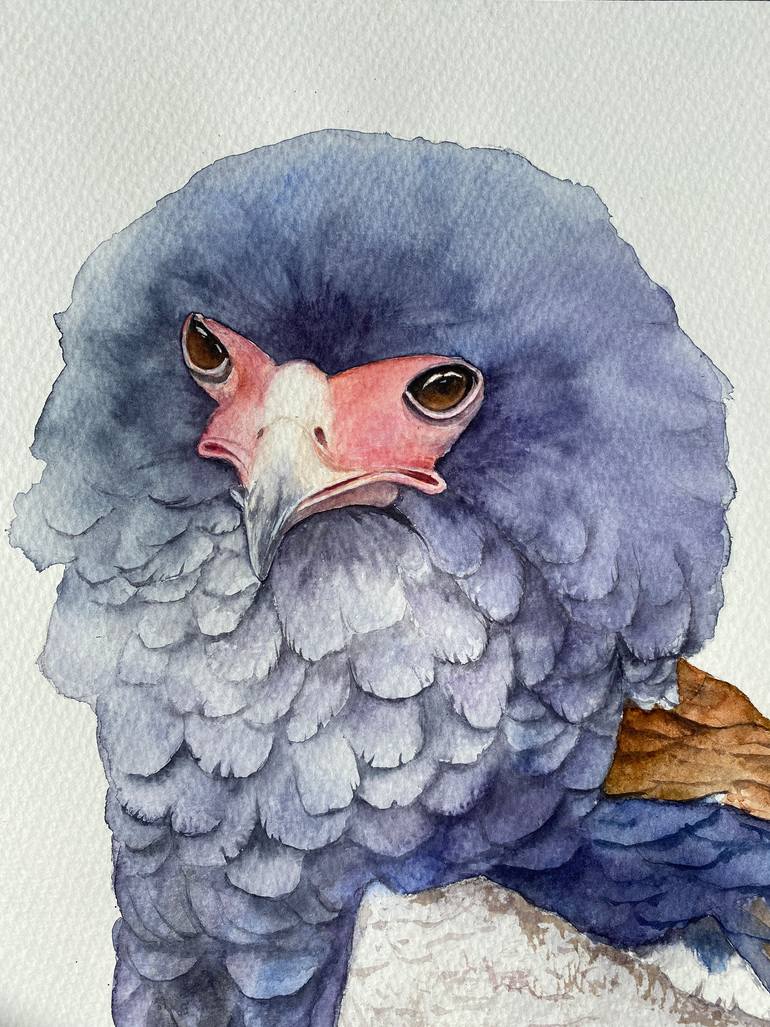 Original Photorealism Animal Painting by Tetiana Savchenko