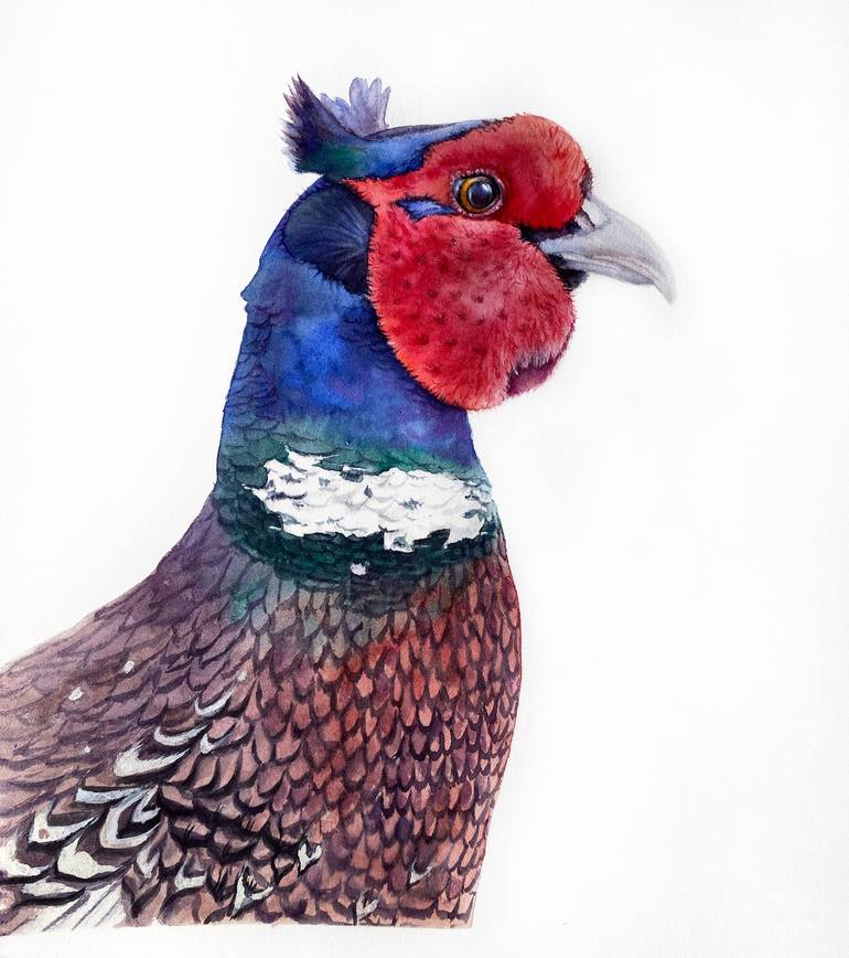 Original Illustration Animal Paintings by Tetiana Savchenko