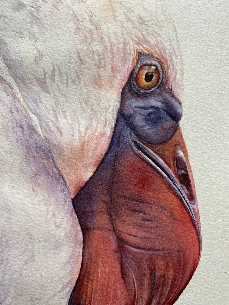 Original Photorealism Animal Painting by Tetiana Savchenko