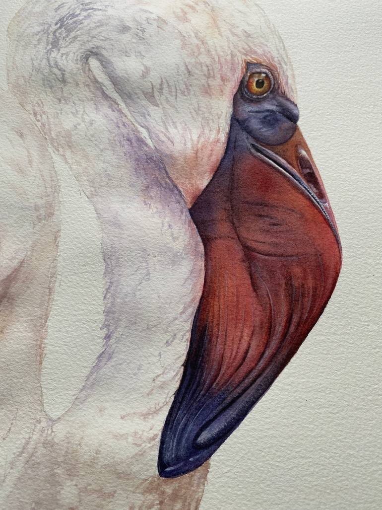 Original Photorealism Animal Painting by Tetiana Savchenko