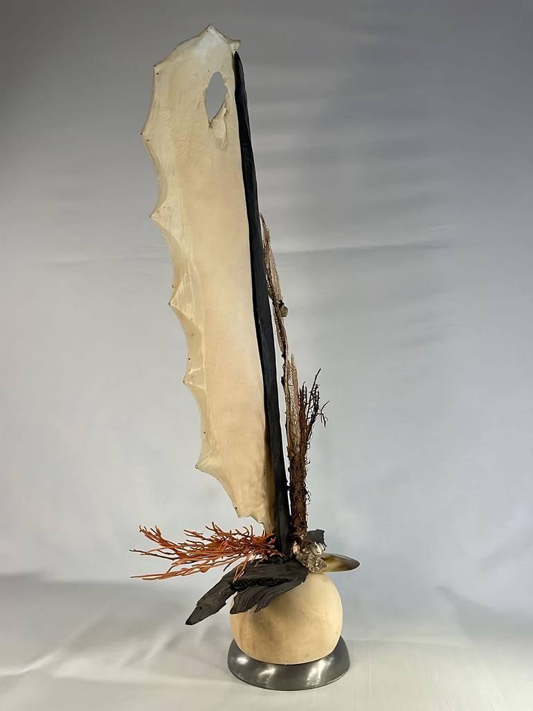 Original Other Nature Sculpture by Corol Corol