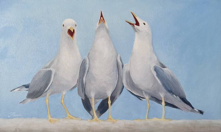 seagull bird clipart painted