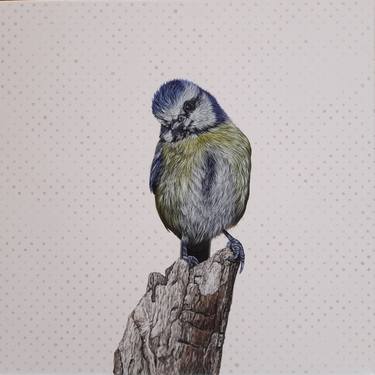 Original Fine Art Animal Paintings by Claudia Daminato